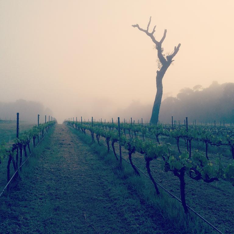 Island Brook Estate Winery And Chalets Margaret River Екстер'єр фото