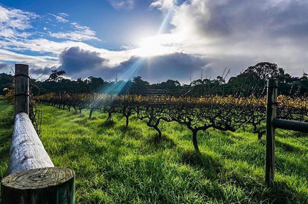 Island Brook Estate Winery And Chalets Margaret River Екстер'єр фото