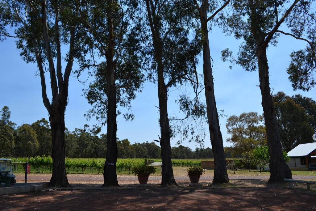 Island Brook Estate Winery And Chalets Margaret River Екстер'єр фото