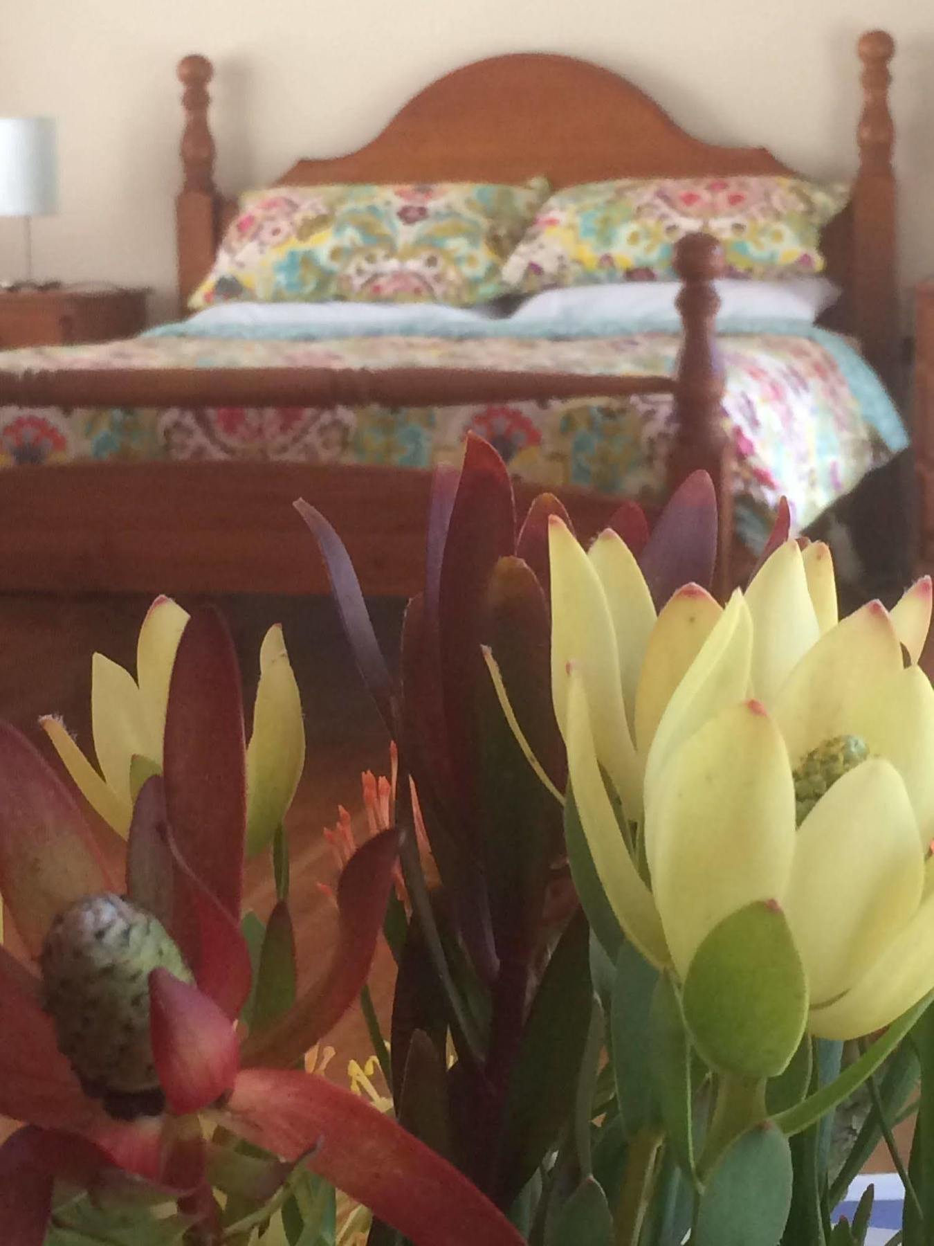 Island Brook Estate Winery And Chalets Margaret River Екстер'єр фото